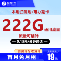 中国广电 本地卡 一年19元/月(可开副卡+222G全国通用流量+本地号码+首月免月租+流量可结转)