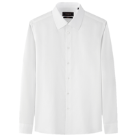 雅戈尔 秋季商务百搭易打理男长袖衬衫男