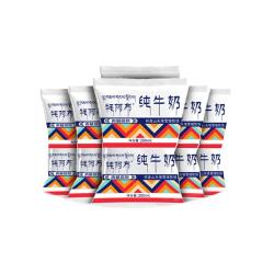 雪域天境 青藏高原牦牛 纯牛奶
