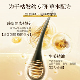  CAMENAE/嘉媚乐 奢护蓬盈 洗发露  500ml