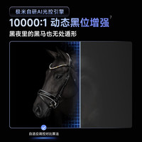 极米Z6X Pro 三色激光 高亮版 家用投影仪 轻薄便携高清 一体式云台 家庭影院 投屏办公设备 【麦克风套装】Z6X Pro高亮+麦克风Pro