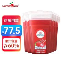 扬百利 yumberry 浓缩冰杨梅汁饮料 380ml*6瓶