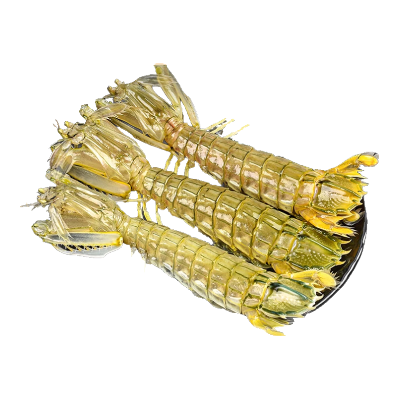  仙鲜福 带膏 皮皮虾  2000g（8-10只带膏虾）生冻熟冻 冷冻 2000g