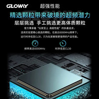 光威 龙武系列 DDR5 6400MHz 台式机内存 马甲条 CL32 海力士M-die颗