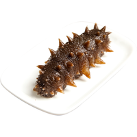 皇家麒麟即食海参礼盒装大连即食海参单个装野生即食大连特产礼盒 两斤礼盒装【大连特产】 13-19只/斤