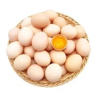 涢安现捡新鲜土鸡蛋农家谷物土鸡蛋营养喂养源头农场直发直卖