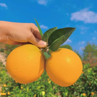 乌仙子 正宗赣南脐橙， 9斤【单果75-85mm+】特大果