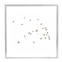 志高2024led厨房灯集成吊顶厨卫灯吸顶灯铝扣板灯卫生间平板灯 24W/300*600mm白色/白光