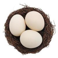 鹤农益得笨土鸡蛋生鲜可生食不含沙门氏菌新鲜农家散养喜蛋中秋礼盒 土鸡蛋 30枚礼盒装