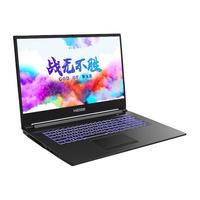 Hasee 神舟 战神 G8-CT7NA 17.3英寸 游戏本 黑色(酷睿i7-9750H、RTX 2060 6G、8GB、512GB SSD、1080P、IPS、144Hz)