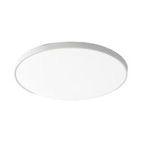 D&L 卧室灯全光谱三防灯led客餐厅灯具套餐超薄防水卫生间阳台过道灯 三防灯白光24瓦-30cm适12平内