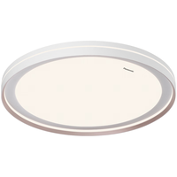 松下(Panasonic)吸顶灯睿芒全光谱米家智能客厅卧室灯 48W 主辅发光 HHXS5130