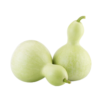 寿禾shouhe 葫芦种子大全特大文玩手捻水瓢瓜食用迷你巨型特小把玩春冬季 20-30cm果潍丰中亚腰种子25粒