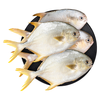 恒兴食品 北海原条金鲳鱼4条/净重共2斤 BAP认证海鲜 年货 源头直发