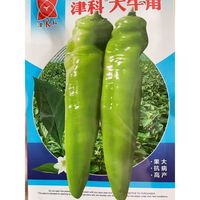 大牛角种子:津科大牛角,优质品种