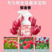 郁金香营养液专用养花卉肥料复合肥有机肥叶面肥黄叶