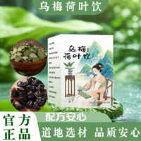 甄选乌梅荷叶新货无添加自然清香袋泡茶煮水泡水