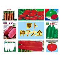 各种萝卜种子:心里美红白黄胡萝卜樱桃萝卜种子