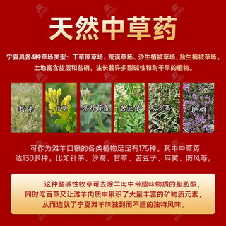 滩羊鲜生 宁夏滩羊肉 生鲜半只羊肉礼盒羊腿羊排烧烤火锅食材清真年货礼盒 6斤羊排条