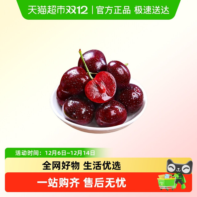淘金币可用、88VIP：喵满分 智利进口车厘子礼盒XL（24-26mm）5斤