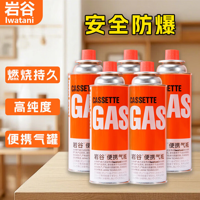 岩谷 Iwatani 便携气瓶 (250g*4+气瓶收纳包)