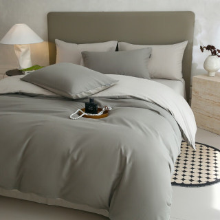 兰芮 LANRUI A类60支全棉磨毛加厚保暖长绒棉四件套 200*230cm