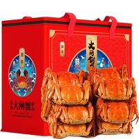 湖丰 阳澄湖大闸蟹活鲜螃蟹生鲜水产实物尝鲜礼盒 公3.0两 母2.5两 3对6只