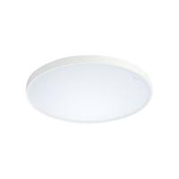 PHILIPS 飞利浦 led卧室灯吸顶灯房间主卧书房客厅现代简约灯具24W三色 星环白边