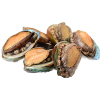 携宴福建九孔大鲍鱼 东山特产 深海海捕 鲜活急冻 火锅烧烤食材  5-6头/500g