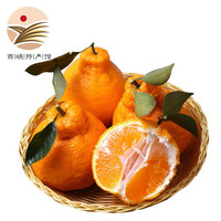 静益乐源 四川不知火丑橘 净重4.5斤中果果径70-75mm