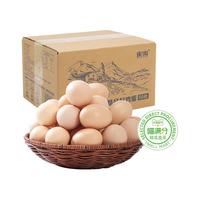 喵满分精选AA级新鲜土鸡蛋45g无沙门氏菌皖南农家散养草鸡蛋早餐