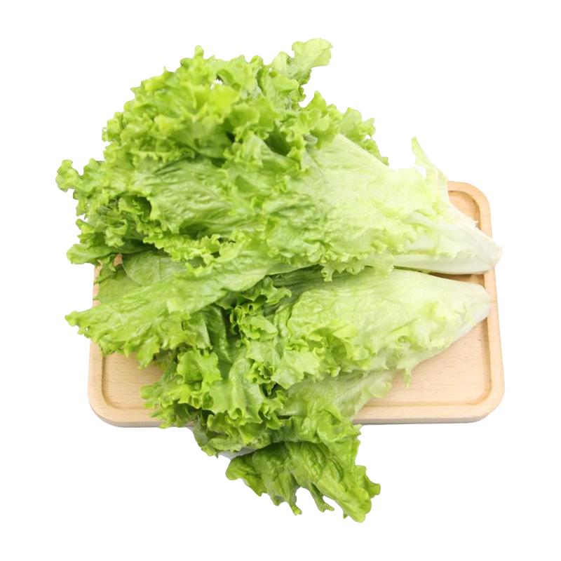 小汤山 散叶生菜 300g