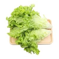小汤山 散叶生菜 300g