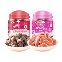 天喔 Ten Wow  蜜饯果脯果肉话梅肉梅制品李子肉休闲办公零食小吃两罐组合装 110g2罐盐津桃肉/梅