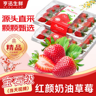 亨迅草莓大凉山99红颜奶油草莓非丹东草莓甜孕妇现摘新鲜时令水果生鲜 2盒装丨【精品热销】净重600g