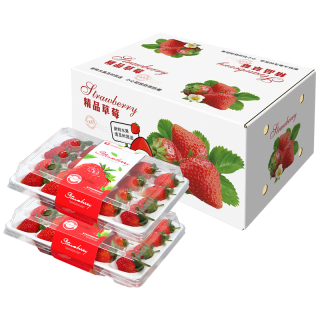 亨迅草莓大凉山99红颜奶油草莓非丹东草莓甜孕妇现摘新鲜时令水果生鲜 2盒装丨【精品热销】净重600g