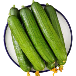 京鲜生 山东水果黄瓜  净重3斤 单果70g+ 青瓜荷兰瓜  源头直发 