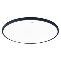 正泰（CHNT）照明吸顶灯led卧室灯具三防灯全屋客厅灯饰阳台过道餐厅现代简约 黑边24W双色