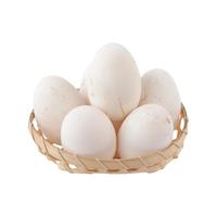 新鲜鹅蛋农家散养土鹅蛋特产12枚大个生鹅蛋精品