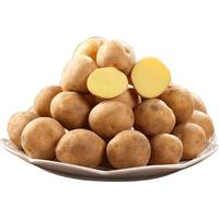 小土豆恩施正宗现挖高山新鲜黄心土豆包邮蔬菜士豆迷你马铃薯洋芋