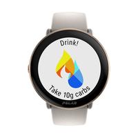 POLAR 博能 Ignite3 燃时尚触屏健身训练 莱美运动睡眠监测心率手表 本色灰S-L