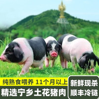 楚沩香湖南宁乡土花猪肉花猪排骨散养新鲜现杀生态土猪肉五花肉 花猪五花肉+后腿肉 2斤