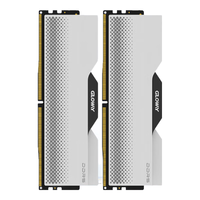 光威 48GB(24GBx2) DDR5 7200 台式机内存条 龙武 马甲条 海力士M-die CL36 深空银