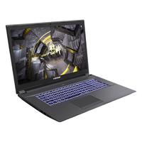 Hasee 神舟 战神 GX9-CT5DK 17.3英寸 游戏本 黑色(酷睿i5-9400、RTX 2070 8G、16GB、256GB SSD+1TB HDD、1080P、IPS、144Hz)