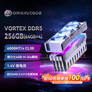 OC LAB 台式机内存条 256G(64G×4)套装 DDR5 6000频率 Origin Code炫光 RGB灯条(C30) 银 带独立风扇