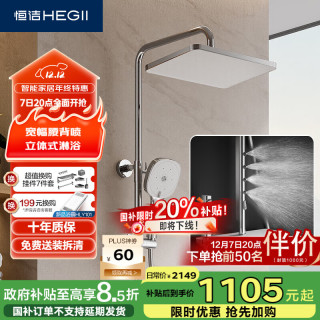 恒洁 HEGII 淋浴花洒套装Y57 琴键置物腰背按摩除垢花洒全套DMF956B-335