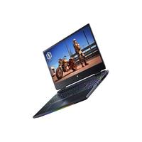 acer 宏碁 掠夺者 战斧300 十二代酷睿版 17.3英寸 游戏本 黑色（酷睿i7-12700H、RTX 3060 6G、16GB、512GB SSD、2.5K、IPS、165Hz、N22C4-PH317）