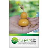  凤鸣雅世 四季种植 文玩葫芦种子  手捻小葫芦种子10粒