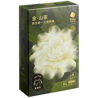 babycare山茶花一次性内裤女孕产妇大码日抛月子待产出差旅行8条
