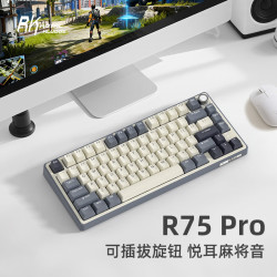 ROYAL KLUDGE RK R75Pro游戏键盘机械无线三模客制化女生电脑办公男生电竞 R75Pro 五十度灰 烟雨轴V2